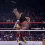 Hogan vs. The Giant